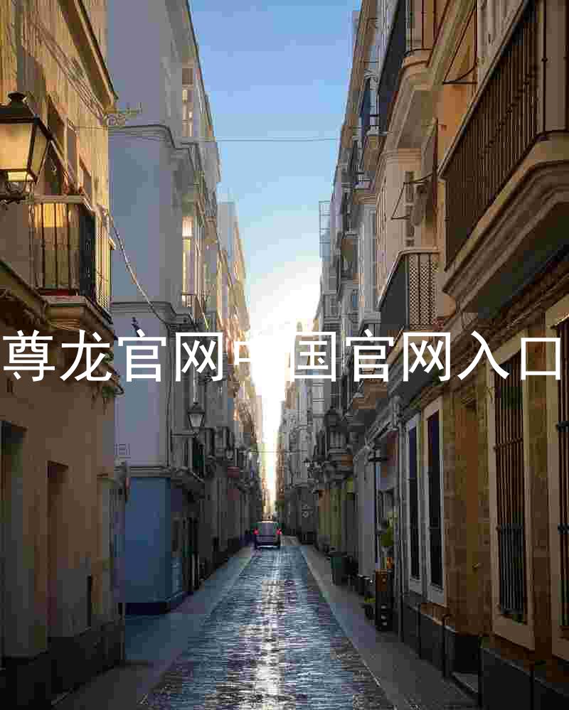 尊龙官网中国官网入口