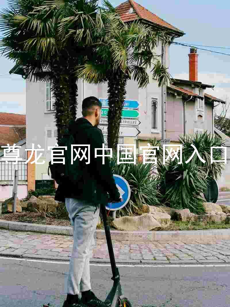 尊龙官网中国官网入口