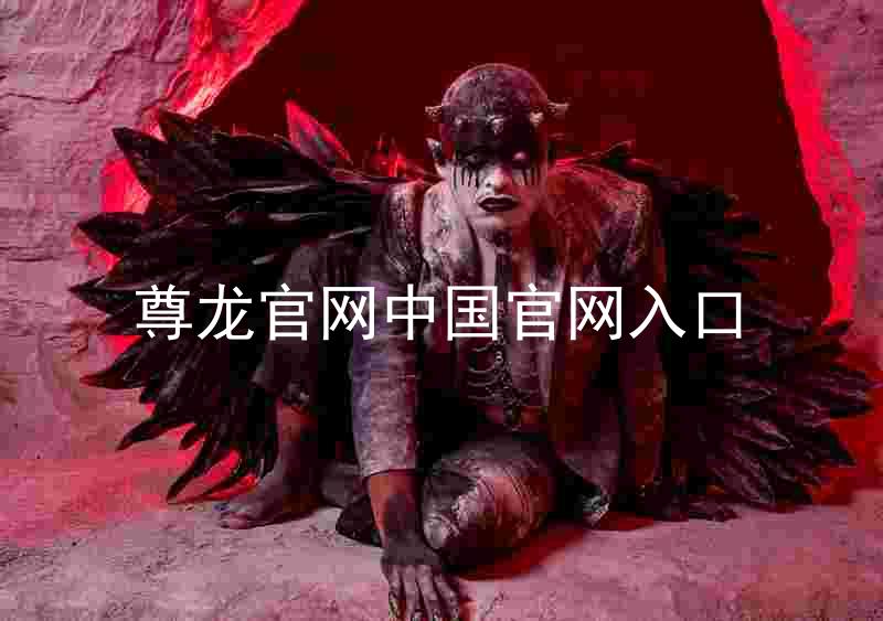尊龙官网中国官网入口