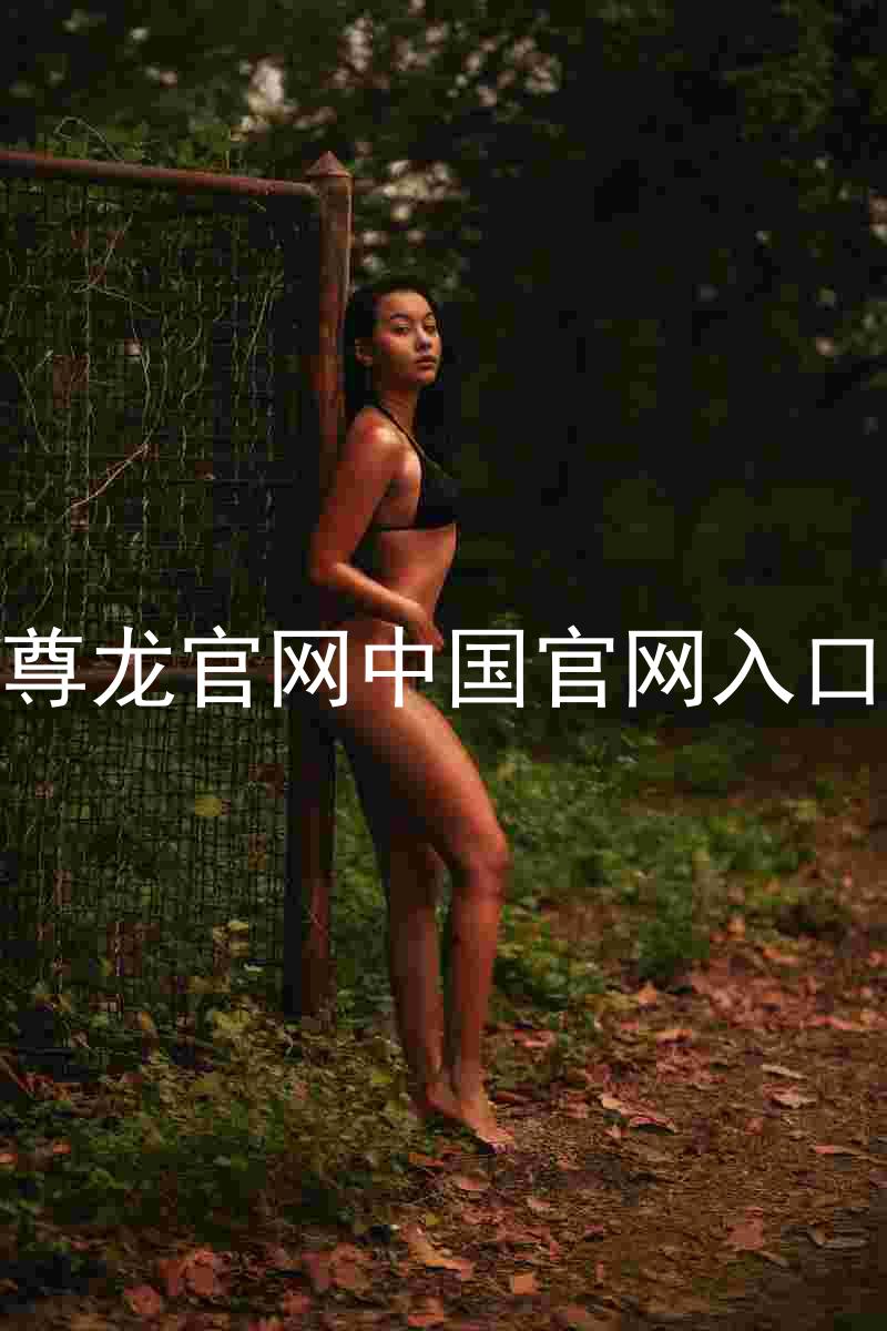 尊龙官网中国官网入口