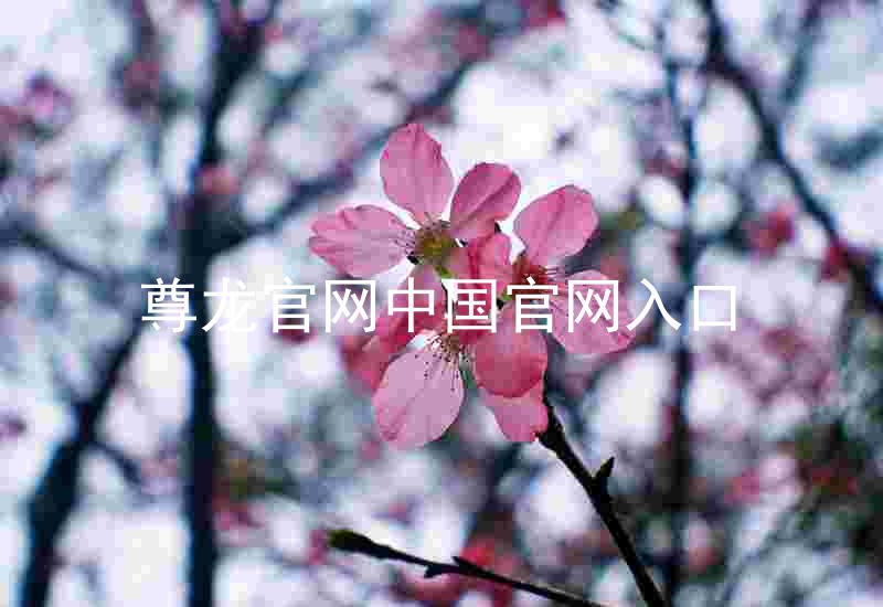尊龙官网中国官网入口